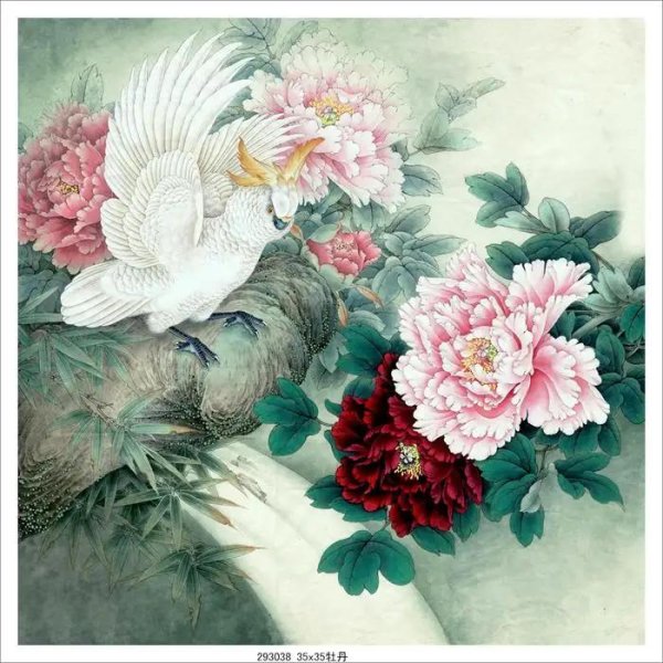 пионы гунби