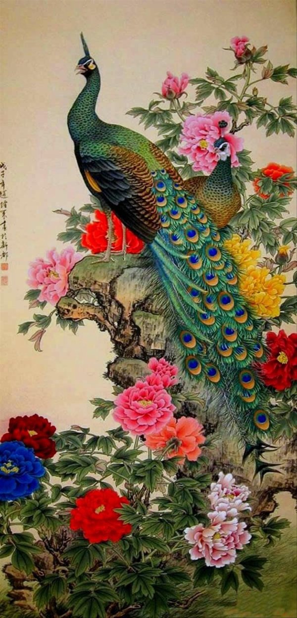 павлин картина