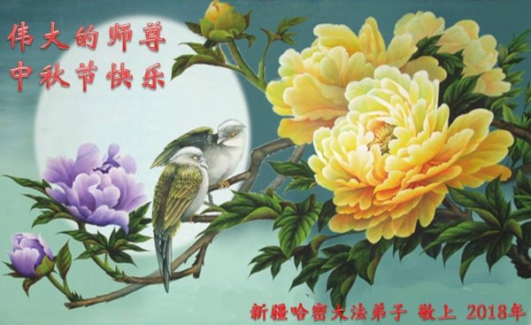 пион китайский