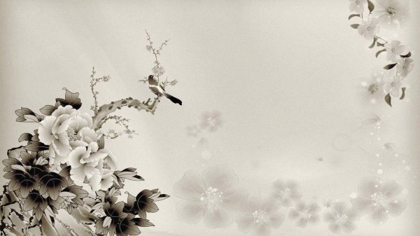 монохромные обои