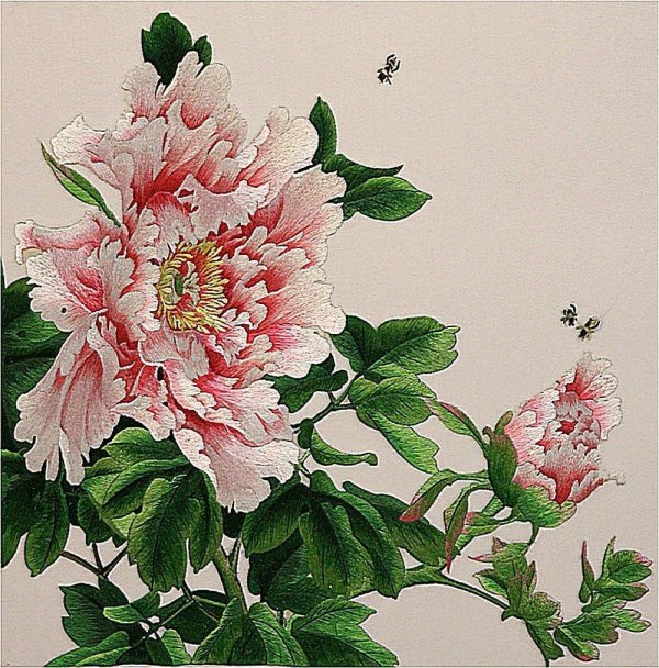 пионы гунби