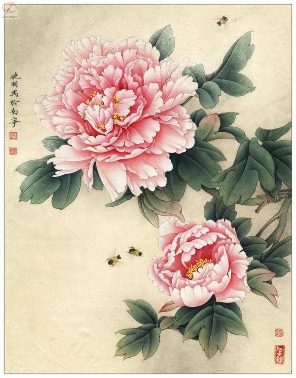 пионы гунби