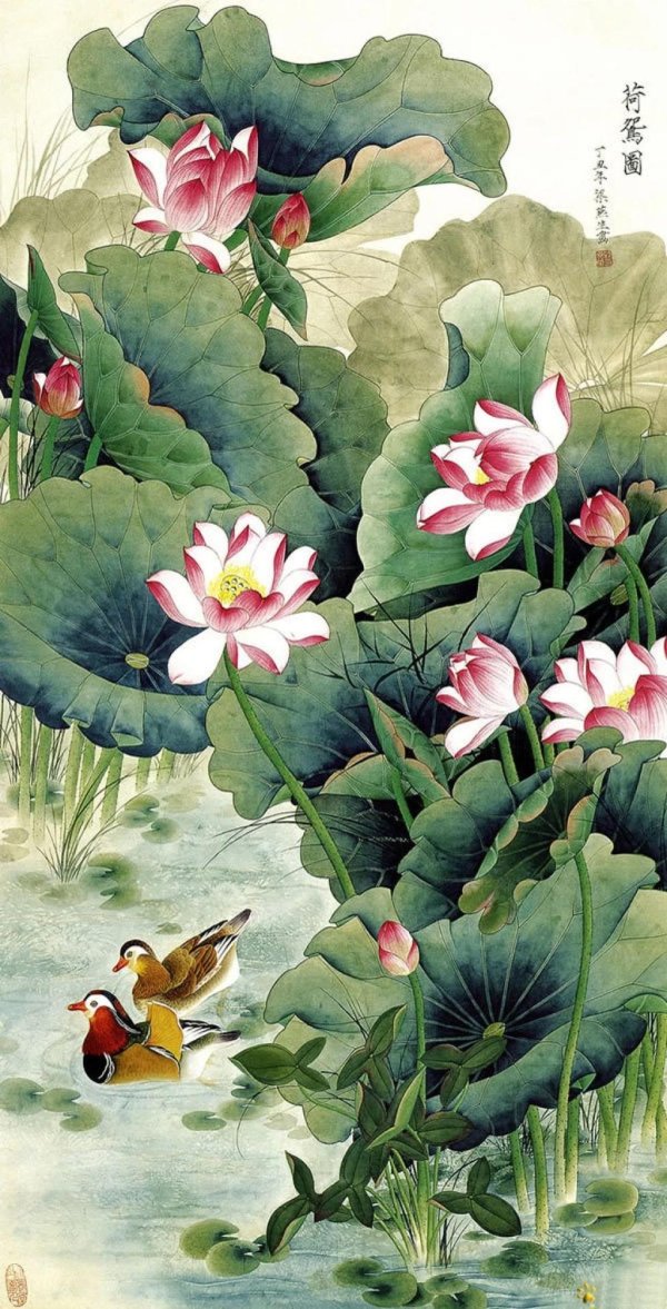 лотос гунби