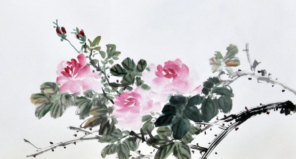 пионы гохуа