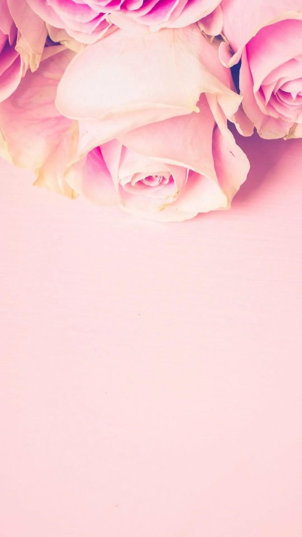 нежные тона