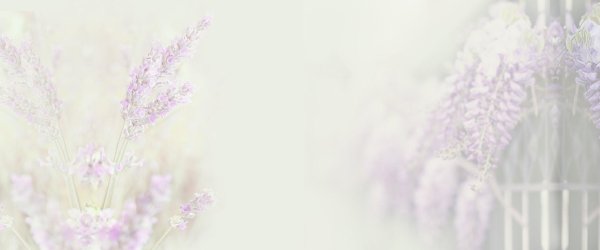 фон лаванда