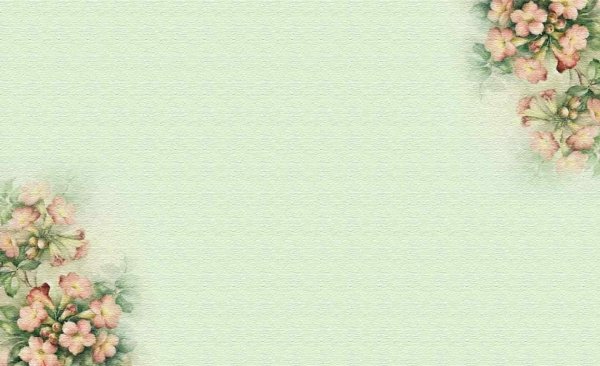 цветочные фоны