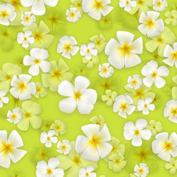 гавайские цветы