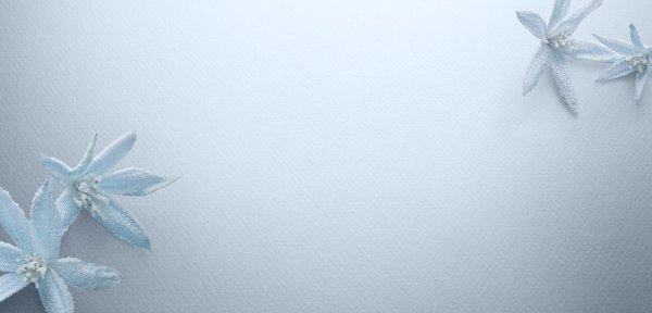 голубой цветок