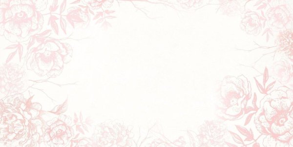 светлые фоны