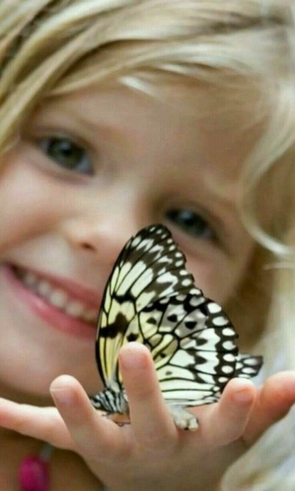 Бабочки и девушка