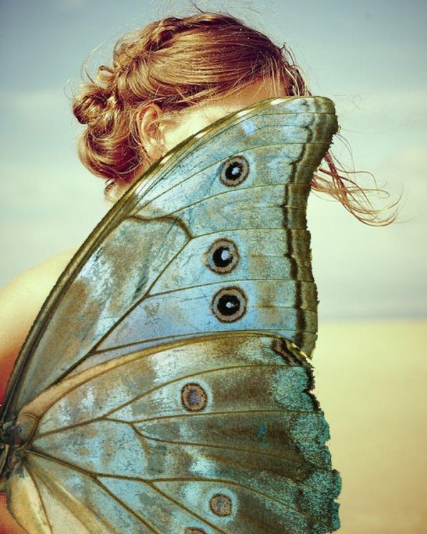 Бабочки и девушка