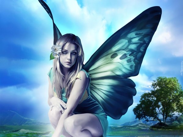 Бабочки и девушка