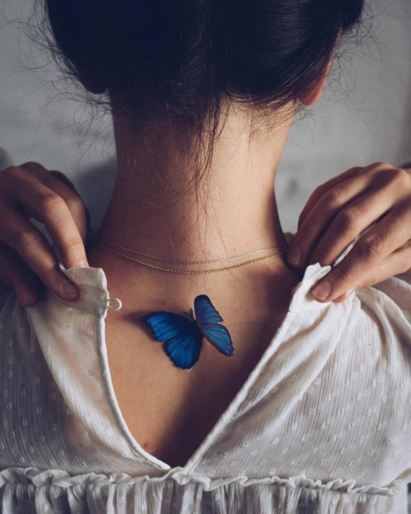 Бабочки и девушка