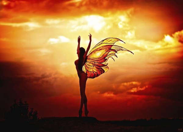 Бабочки и девушка