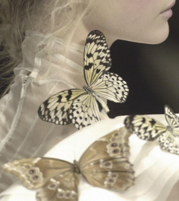 Бабочки и девушка