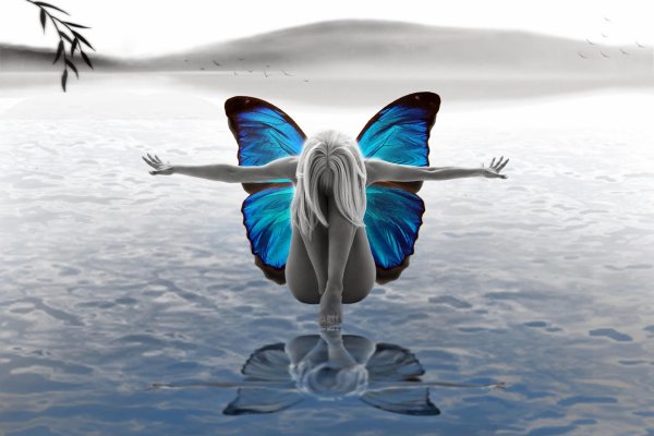 Бабочки и девушка