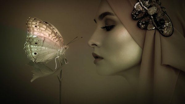 Бабочки и девушка