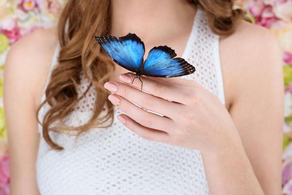 Бабочки и девушка