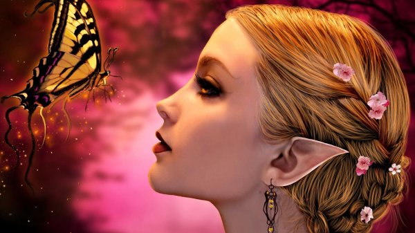 Бабочки и девушка