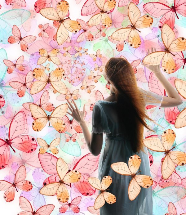 Бабочки и девушка