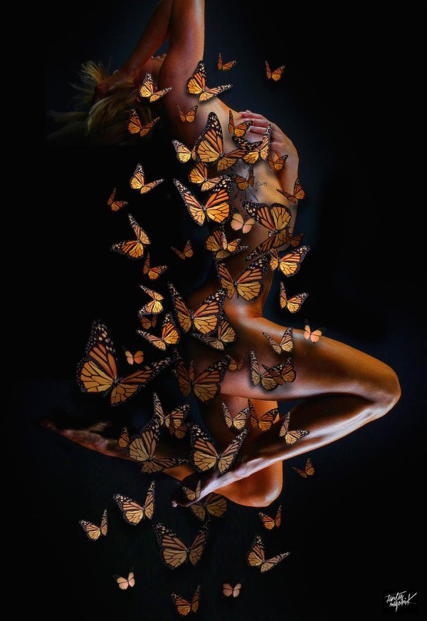 Бабочки и девушка