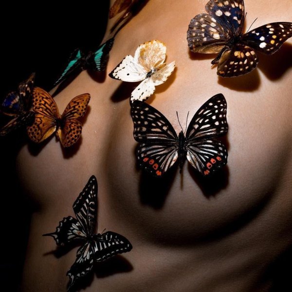 Бабочки и девушка