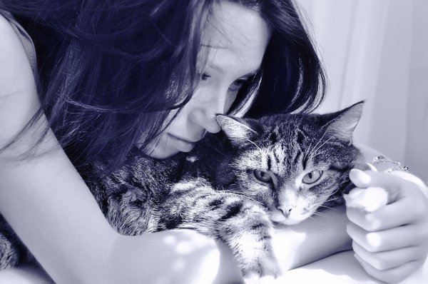Девушка и кот