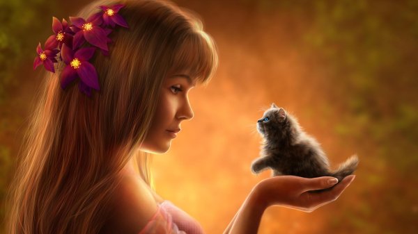 Девушка и кот