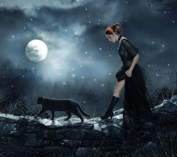 Девушка и кот