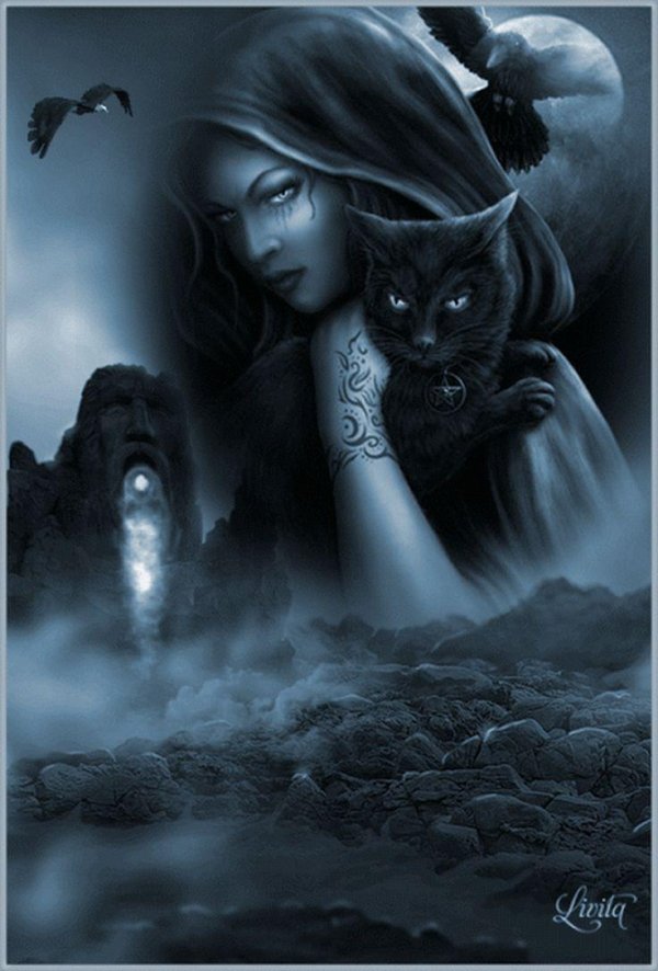 Девушка и кот