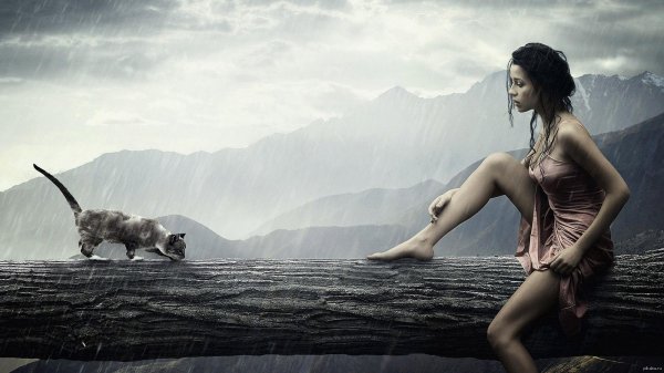 Девушка и кот