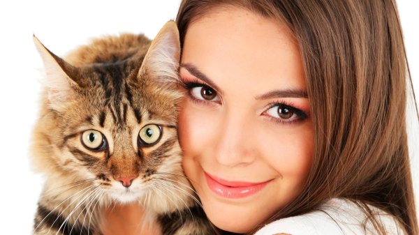 Девушка и кот