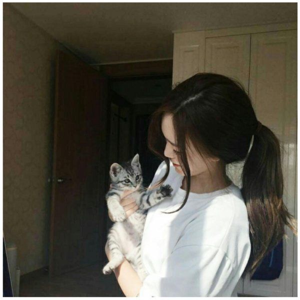 Девушка и кот