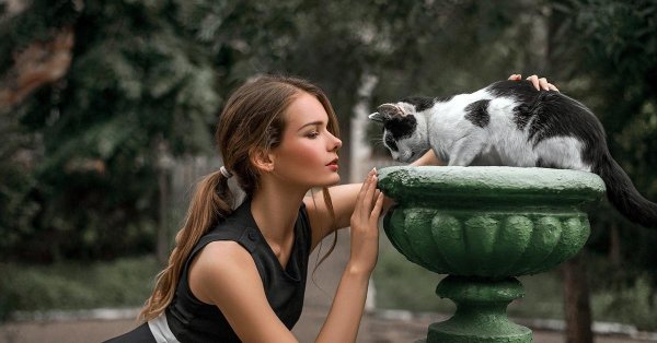 Девушка и кот