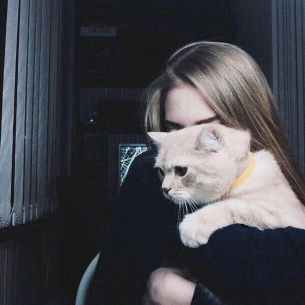 Девушка и кот