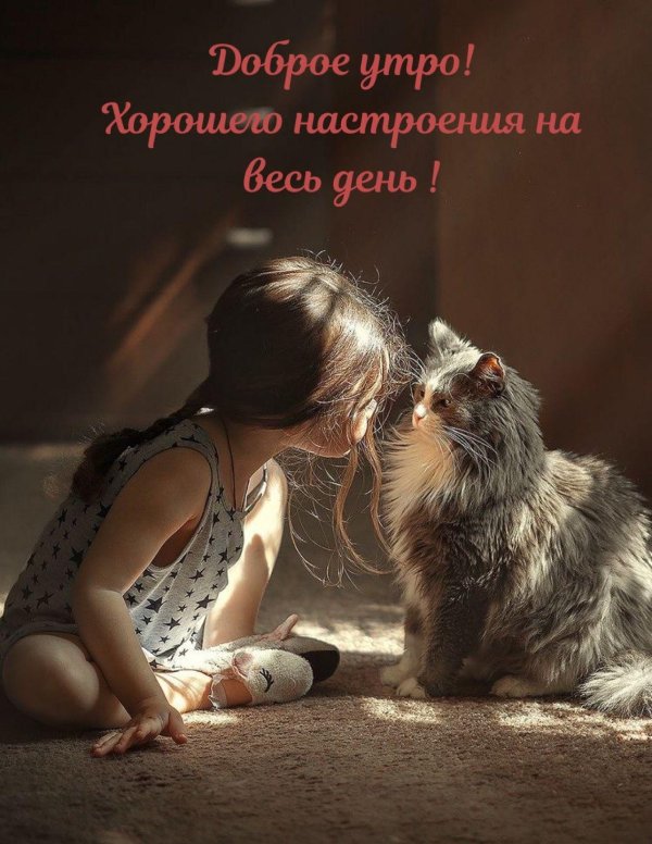 Девушка и кот