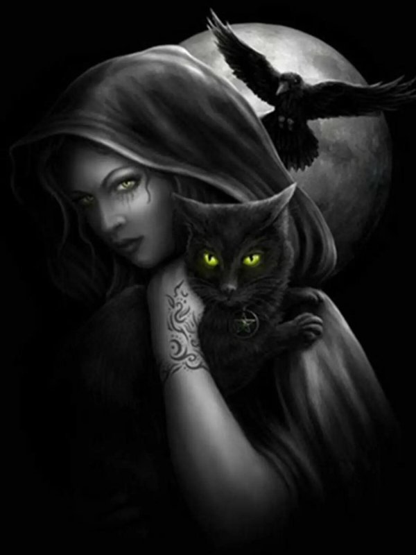 Девушка и кот