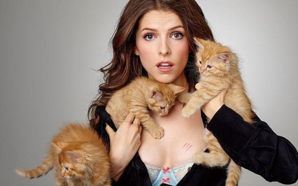 Девушка и кот