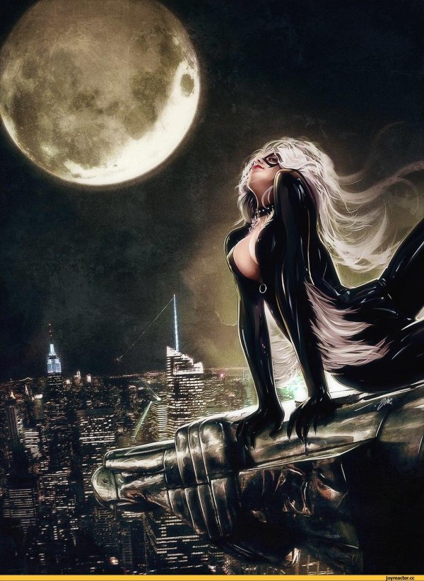 Девушка и кот