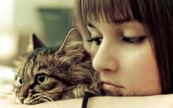 Девушка и кот