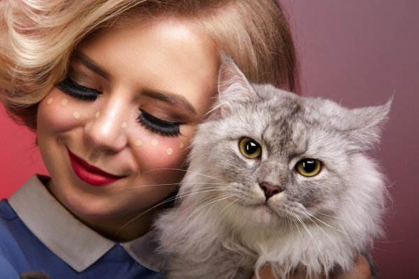 Девушка и кот