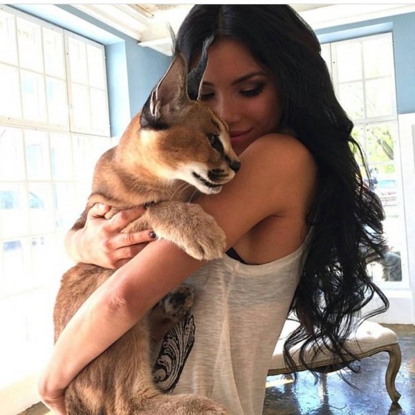 Девушка и кот