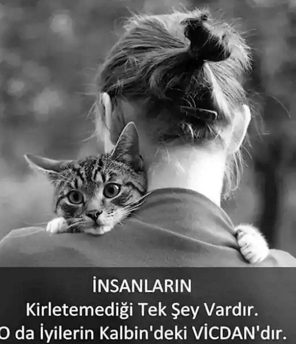 Девушка и кот