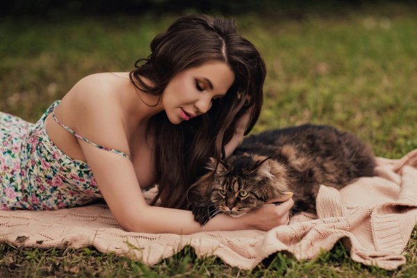 Девушка и кот