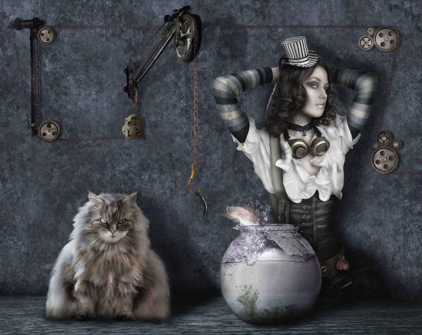 Девушка и кот