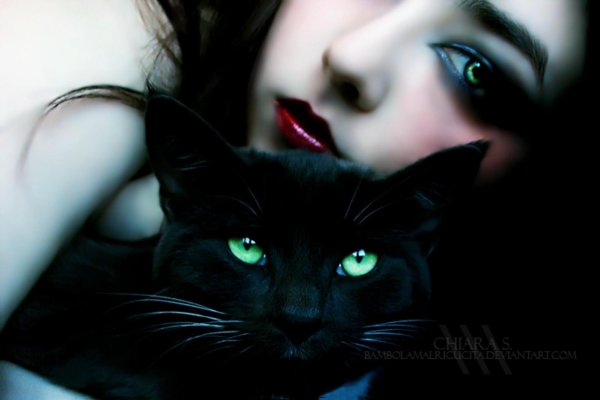 Девушка и кот