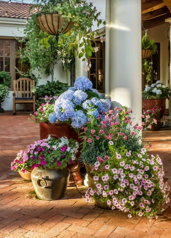 цветы на веранде