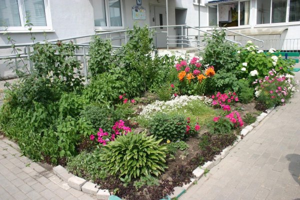 палисадники возле многоэтажек
