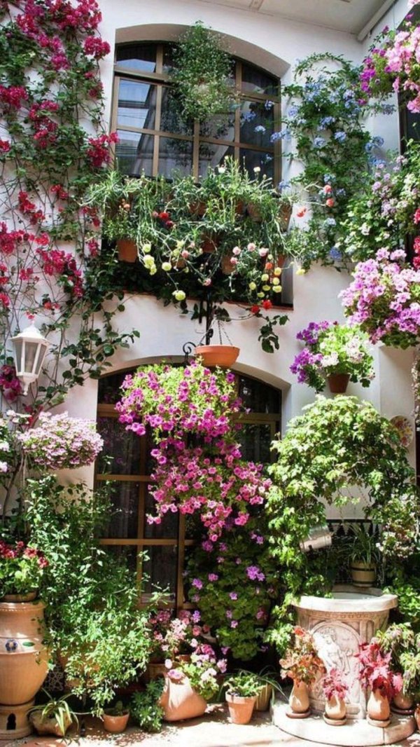 красивые сады